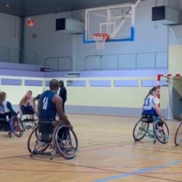 Coupe IDF Basket Fauteuil