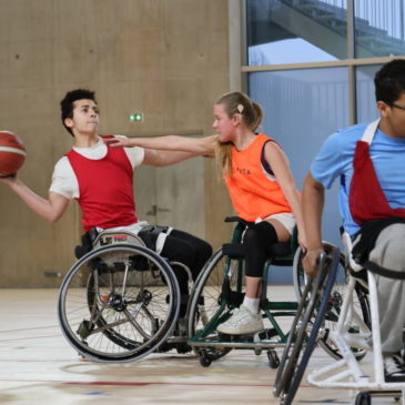 Basket Fauteuil – Deuxième regroupement IDF