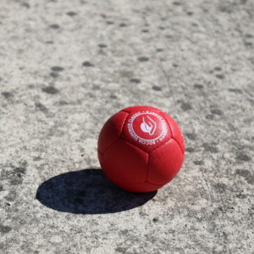 BOCCIA : CHAMPIONNAT RÉGIONAL 16/17 OCTOBRE 2025